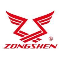 Двигатель бензиновый Zongshen GB 620 E (D=25 мм)