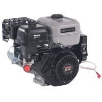 Двигатель бензиновый EVOline GB 460 Е купить в Москве с доставкой по всей России | ProtosMarket.ru
