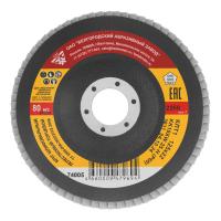 Круг лепестковый торцевой КЛТ-1, зернистость Р 60(25Н) 125 х 22.2 мм, "БАЗ"