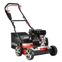 Аэратор-скарификатор бензиновый EVOline SCG 40 CP купить в Москве с доставкой по всей России | ProtosMarket.ru