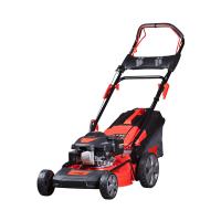 Газонокосилка бензиновая самоходная FPL 46 SM купить в Москве с доставкой по всей России | ProtosMarket.ru