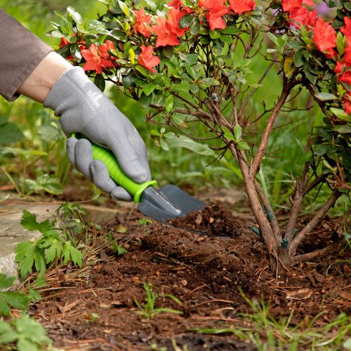 Совок посадочный узкий, 60 х 250 мм, стальной, пластиковая рукоятка, Standard, Palisad купить в Москве с доставкой по всей России | ProtosMarket.ru