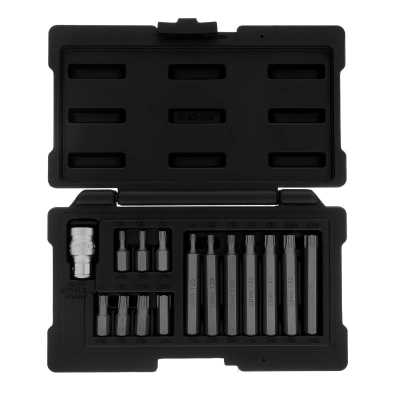 Набор бит TORX, хвостовик-шестигранник, 10 мм, CrV, 15 предметов Stels купить в Москве с доставкой по всей России | ProtosMarket.ru