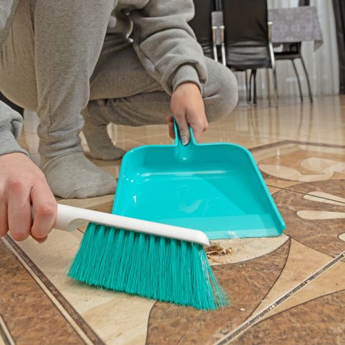 Набор совок с кромкой 300x205 мм и щетка-сметка 275 мм, микс цветов, Home Palisad купить в Москве с доставкой по всей России | ProtosMarket.ru