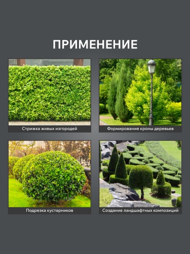 Кусторез электрический PATRIOT PT 4541 купить в Москве с доставкой по всей России | ProtosMarket.ru