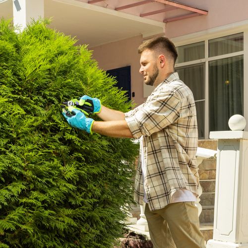 Секатор с наковальней, 190 мм, пластиковые рукоятки Palisad купить в Москве с доставкой по всей России | ProtosMarket.ru