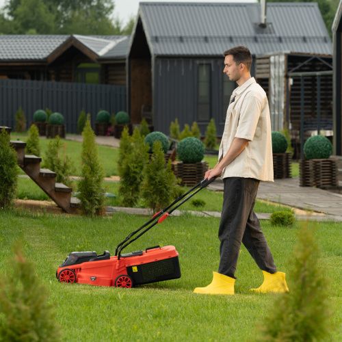 Газонокосилка аккумуляторная бесщеточная CLM-320, 320 мм, травосб. 30 л, Li-Ion, 20 В MTX купить в Москве с доставкой по всей России | ProtosMarket.ru