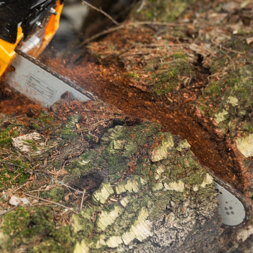 Пила цепная бензиновая DGS-4516, шина 40 см, 45 см3, 3 л.с, шаг 3/8, паз 1.3 мм, 57 звеньев Denzel купить в Москве с доставкой по всей России | ProtosMarket.ru