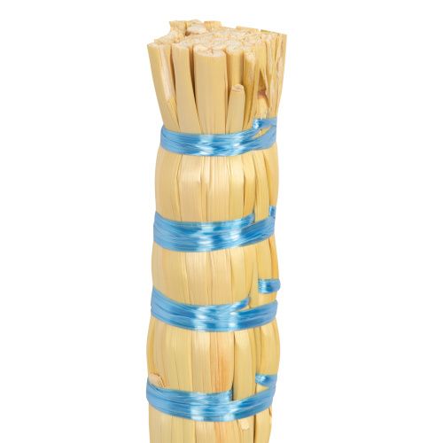 Веник из сорго 2-прошивной купить в Москве с доставкой по всей России | ProtosMarket.ru