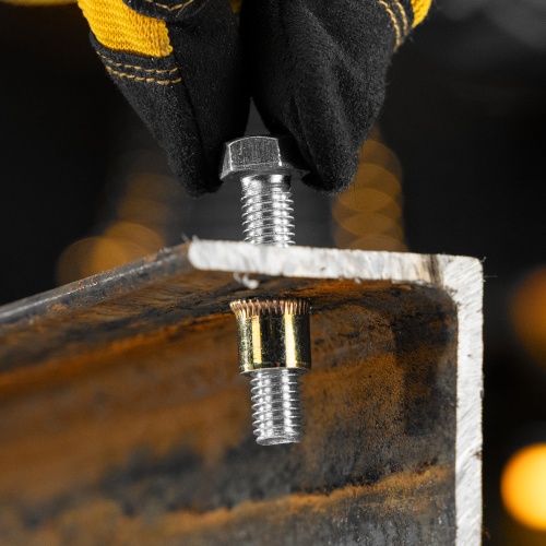 Заклепки резьбовые, стальные, оцинкованные, М8, пластиковый кейс, 40 шт. Denzel купить в Москве с доставкой по всей России | ProtosMarket.ru