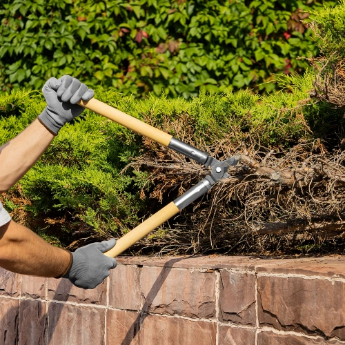 Сучкорез прямого реза, 500 мм, деревянные рукоятки, Горизонт, купить в Москве с доставкой по всей России | ProtosMarket.ru