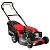 Газонокосилка бензиновая EVOline LMG 51 CS купить в Москве с доставкой по всей России | ProtosMarket.ru