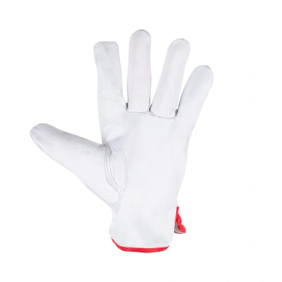 Перчатки кожаные мягкие FOXWELD "Акула" СА-03 купить в Москве с доставкой по всей России | ProtosMarket.ru