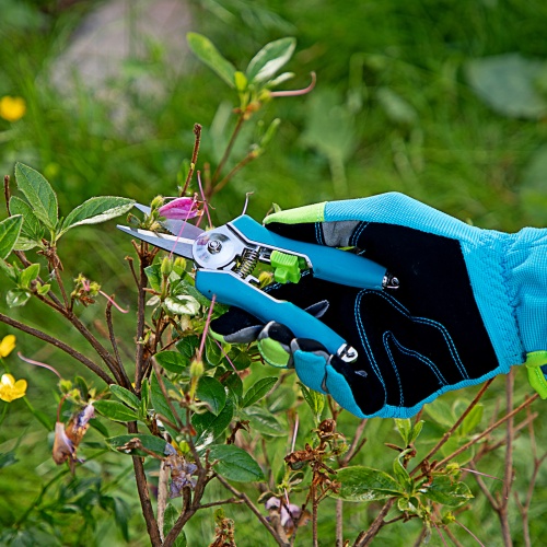 Секатор цветочный, 150 мм, металлические обрезиненные рукоятки, Luxe, Palisad купить в Москве с доставкой по всей России | ProtosMarket.ru