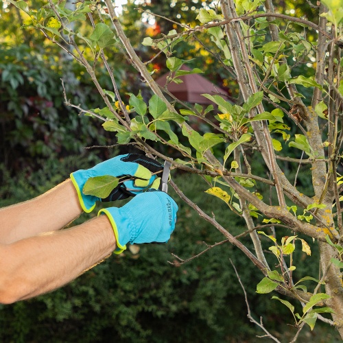 Нож садовый складной, прямое лезвие, 173 мм, деревянная рукоятка, Palisad купить в Москве с доставкой по всей России | ProtosMarket.ru