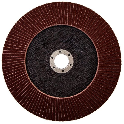 Круг лепестковый торцевой КЛТ-1, зернистость Р 80, 180 х 22.2 мм купить в Москве с доставкой по всей России | ProtosMarket.ru