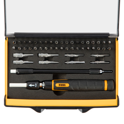 Отвертка с набором бит и торцевых головок для точных работ, гибкий привод, 48 шт, CrMo Denzel купить в Москве с доставкой по всей России | ProtosMarket.ru
