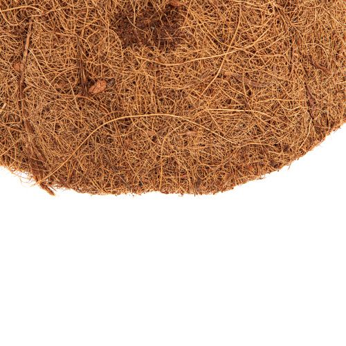 Вкладыш из коковиты полукруглый D 25 см Palisad купить в Москве с доставкой по всей России | ProtosMarket.ru