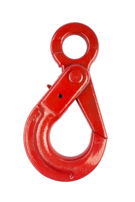 Крюк самозакрывающийся с проушиной TOR 8,0 т (Q) купить в Москве с доставкой по всей России | ProtosMarket.ru