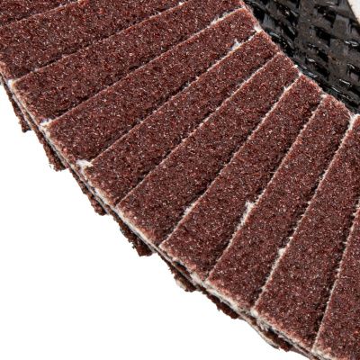 Круг лепестковый торцевой, P 100, 125 х 22.2 мм Matrix купить в Москве с доставкой по всей России | ProtosMarket.ru