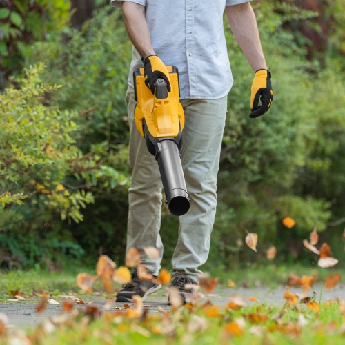 Воздуходувка аккумуляторная RB180-36, Li-ion, 36 В, 4 Ач, 180 км/ч, 820 м3/ч Denzel купить в Москве с доставкой по всей России | ProtosMarket.ru