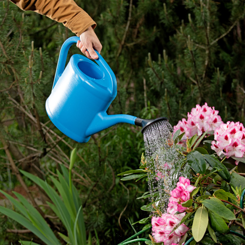 Лейка садовая, 5 л, пластмассовая купить в Москве с доставкой по всей России | ProtosMarket.ru