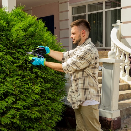 Секатор прямого реза цельнометаллический, Palisad купить в Москве с доставкой по всей России | ProtosMarket.ru