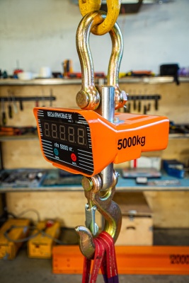 Весы электронные крановые TOR OCS-TY 10T (X) купить в Москве с доставкой по всей России | ProtosMarket.ru