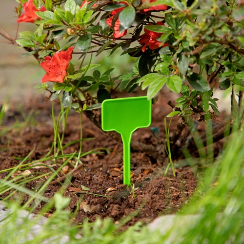 Посадочные таблички 35 х 55 мм, пика 110 мм, 20 шт, Palisad купить в Москве с доставкой по всей России | ProtosMarket.ru