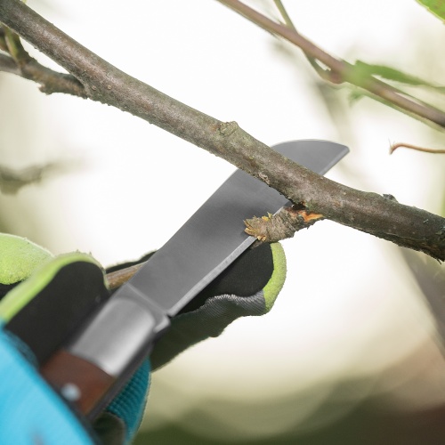 Нож садовый складной, прямое лезвие, 173 мм, деревянная рукоятка, Palisad купить в Москве с доставкой по всей России | ProtosMarket.ru