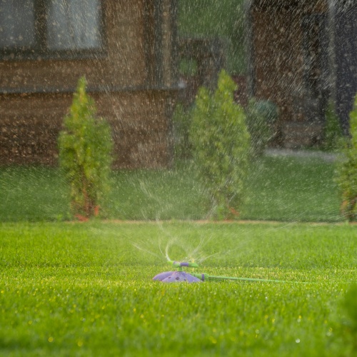Разбрызгиватель вращающийся Бабочка, 3 лопасти, с регулировкой Palisad купить в Москве с доставкой по всей России | ProtosMarket.ru