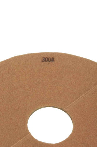 Шлифовальный пад №300 для машин мозаично-шлифовальных GM350T купить в Москве с доставкой по всей России | ProtosMarket.ru