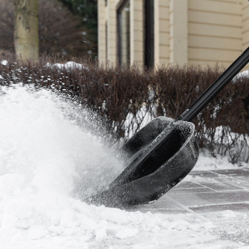 Лопата для уборки снега, поликарбонат, 460х400х1370 мм, стальной черенок, BASE Palisad купить в Москве с доставкой по всей России | ProtosMarket.ru