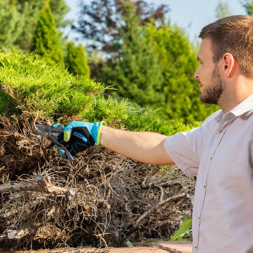 Секатор прямого реза, 215 мм, двухкомпонентные рукоятки, LUXE Palisad купить в Москве с доставкой по всей России | ProtosMarket.ru