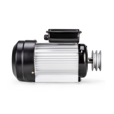 Электродвигатель в сборе со шкивом AEROMAX YL-90L-2 купить в Москве с доставкой по всей России | ProtosMarket.ru