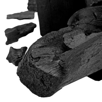 Уголь березовый, 1.3 кг Camping Palisad купить в Москве с доставкой по всей России | ProtosMarket.ru