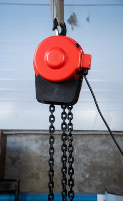 Таль электрическая цепная TOR ТЭШ (DHP) 5,0 т 9 м (серия J) купить в Москве с доставкой по всей России | ProtosMarket.ru