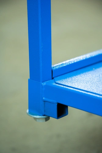 Тележка платформенная TOR ТП-2 (600х900) г/п 300 кг (125 мм) купить в Москве с доставкой по всей России | ProtosMarket.ru