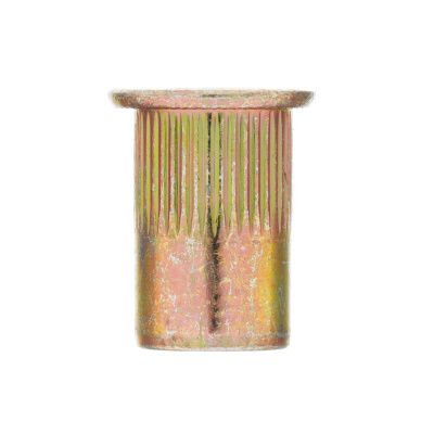 Заклепки резьбовые, стальные, оцинкованные, М10, пластиковый кейс, 35 шт. Denzel купить в Москве с доставкой по всей России | ProtosMarket.ru