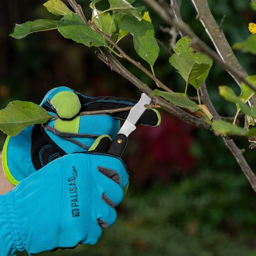 Нож садовый, 165 мм, складной, окулировочный, пластиковая рукоятка Palisad купить в Москве с доставкой по всей России | ProtosMarket.ru