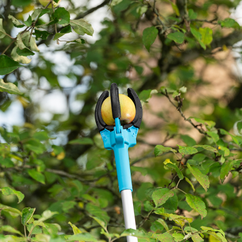 Плодосъемник механический, 1900 мм, алюминиевая штанга, LUXE Palisad купить в Москве с доставкой по всей России | ProtosMarket.ru