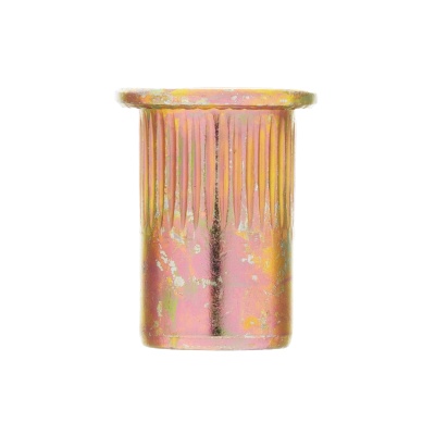 Заклепки резьбовые, стальные, оцинкованные, М8, пластиковый кейс, 40 шт. Denzel купить в Москве с доставкой по всей России | ProtosMarket.ru