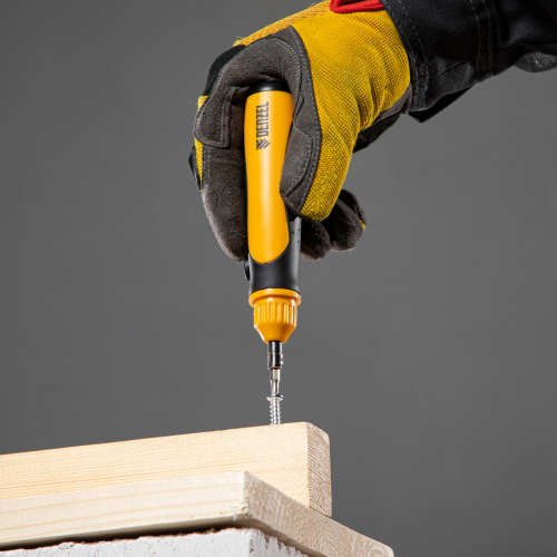 Отвертка реверсивная, механизм SmartPush mini 11 шт, CrMo Denzel купить в Москве с доставкой по всей России | ProtosMarket.ru