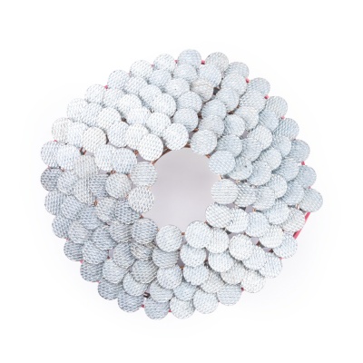 Гвоздь кровельный барабанный с кольцевой накаткой с цинковым покрытием 3,1 х 22 мм 120 шт. AERO купить в Москве с доставкой по всей России | ProtosMarket.ru