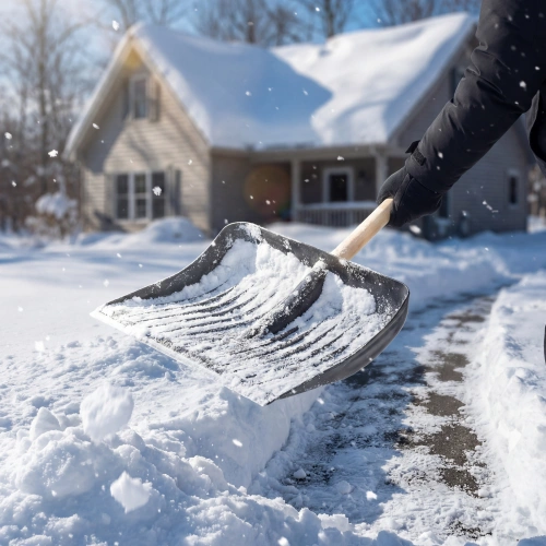 Лопата для уборки снега пластиковая, 450 х 430 мм, без черенка, Сибртех купить в Москве с доставкой по всей России | ProtosMarket.ru