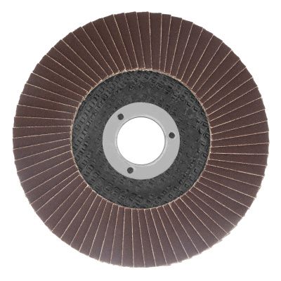 Круг лепестковый торцевой КЛТ-1, зернистость Р 80(16Н) 125 х 22.2 мм, "БАЗ" купить в Москве с доставкой по всей России | ProtosMarket.ru