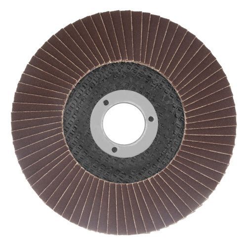 Круг лепестковый торцевой КЛТ-1, зернистость Р 80(16Н) 125 х 22.2 мм, "БАЗ" купить в Москве с доставкой по всей России | ProtosMarket.ru