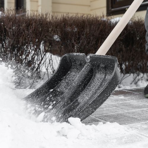 Лопата для уборки снега пластиковая, 380х385х1420 мм, оцинк. планка, деревянный черенок купить в Москве с доставкой по всей России | ProtosMarket.ru