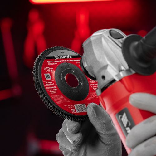 Круг лепестковый торцевой, P 40, 115 х 22.2 мм Matrix купить в Москве с доставкой по всей России | ProtosMarket.ru