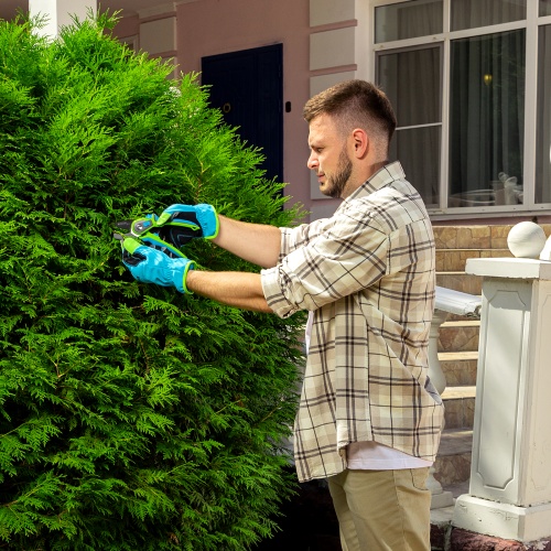 Секатор с наковальней, 220 мм, регулировка захвата, трехкомпонентные рукоятки, Luxe, Palisad купить в Москве с доставкой по всей России | ProtosMarket.ru
